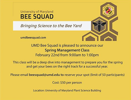Umd Beesquad Session Feb 2020 Hcba Beekeepers