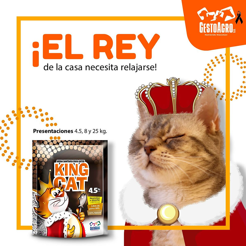 Miniatura: King Cat