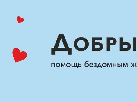 Добрый Друг