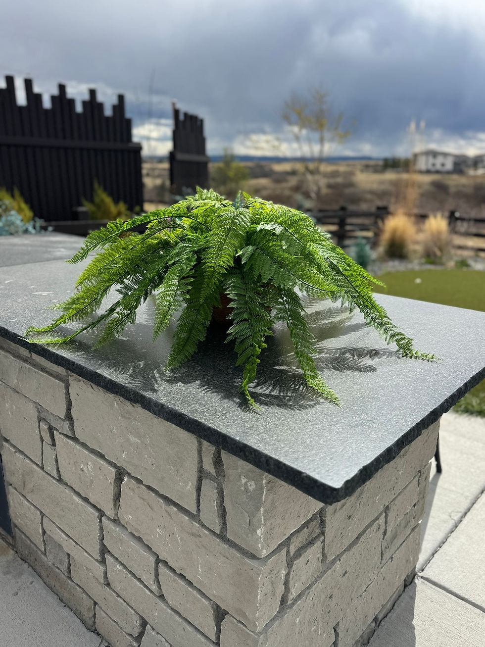 Thumbnail: UV Leather Fern