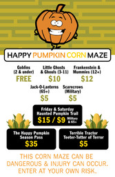 120095-3 Pumpkin Maze Price Poster conv 1.jpeg