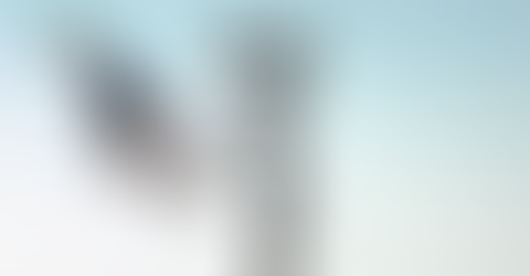 YI: 3-Axis Handheld Gimbal & Selfie Stick