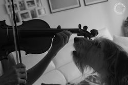 IMG_2437