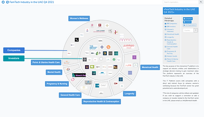 FemTech Industry in the UAE.png