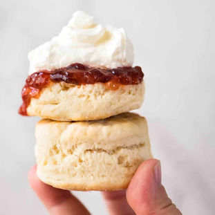 Scone_Homepage.jpeg