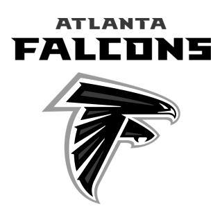 atlanta-falcons-logo-png_seeklogo-496896_edited.png