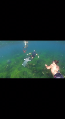 vlcsnap-2024-10-06-13h29m47s325