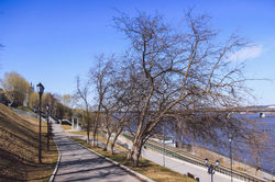 _MG_1410-31