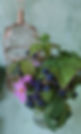 1000016466.jpg