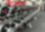 IMG_8174.jpeg