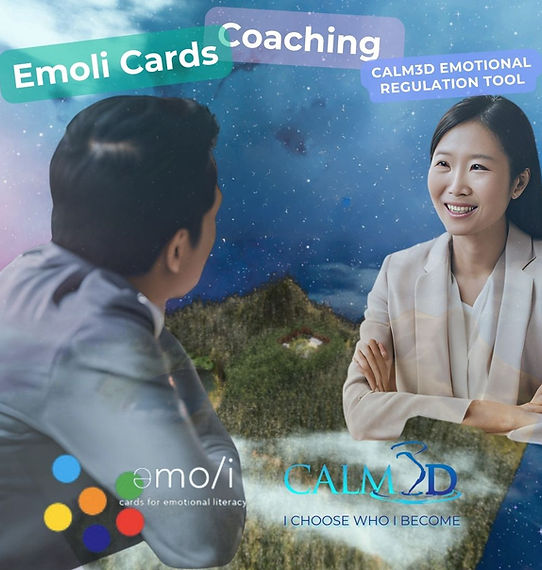 Emotions Based Coaching Calm3D Bundle.jpg