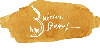 birth plans are they worth it alecia staines sunshine coast bellybelly birth plan