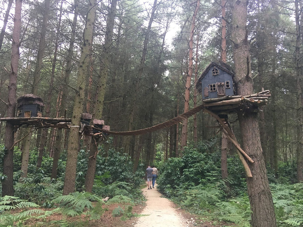 Thumbnail: Fairy Walk