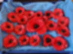 Clay Creation - Poppies