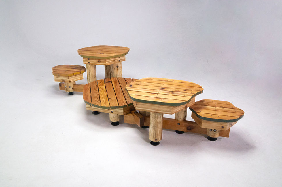 The Lichen Formation