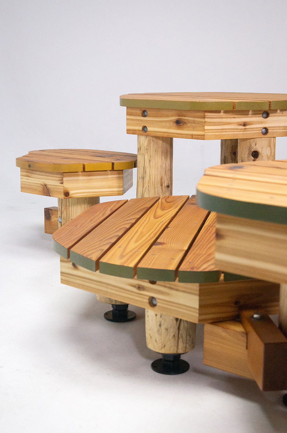 Lichen Formation detail