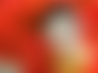 Learn Japanese Language in Japan: Your Gateway to Language Mastery