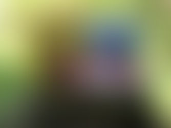 Sparking Linguistic Magic: Children Books for Language Learning