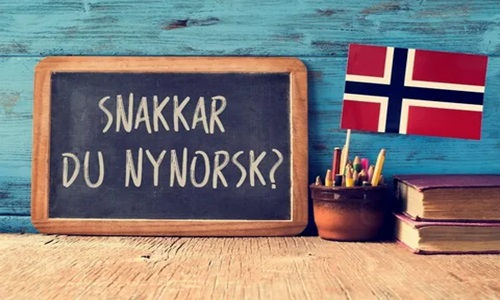 learn norwegian language