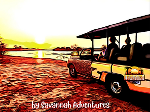 Safari and Walking Tour to Victoria Falls Bridge (14).png