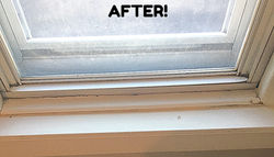 52832718581__82B331FC-3C7B-4D3B-B151-C718C825CA4A_edited