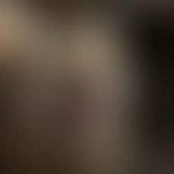 Las conductas agresivas en el gato