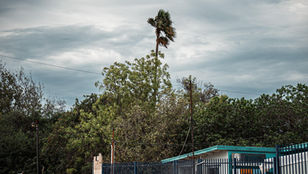 Emite Gobierno de Tijuana recomendaciones ante fuertes vientos en la región