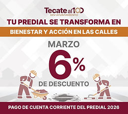 WhatsApp Image 2026-03-03 at 10.37.59 AM.jpeg