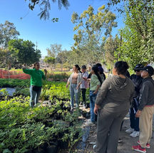 PROMUEVE GOBIERNO DE TIJUANA TALLERES DE HUERTOS Y JARDINES POLINIZADORES