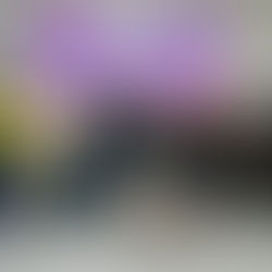 Realiza Gobierno Municipal de Tijuana la Primera Expo Mujer Emprendedora 2026