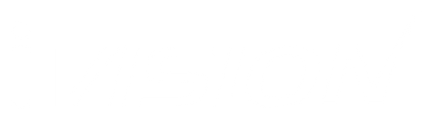 어이비전 로고(W).png