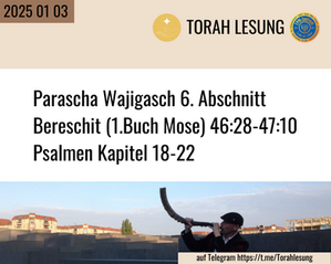 Parascha vom 2025 01 03
