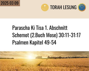 Parascha vom 2025 03 09
