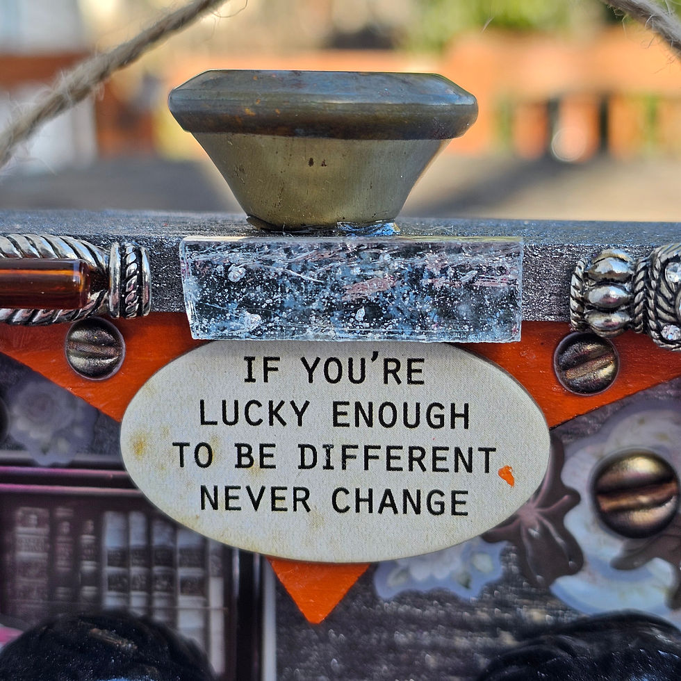 sign "if you're lucky enough to be different, never change"-drawer pull on top