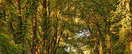 Screenshot 2025-02-20 at 18.00.32.png