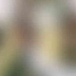 Bride and Groom kiss after celebrant pronounce them husband and wife at the wedding ceremony.