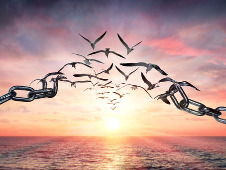 A chain at sunset breaking into birds set free and flying over the water
