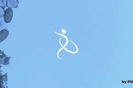 APRESENTAÇÃO LOGO DR OTÁVIOAP 1.jpg