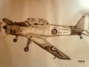 Navy Wings Chipmunk 906 - SOLD