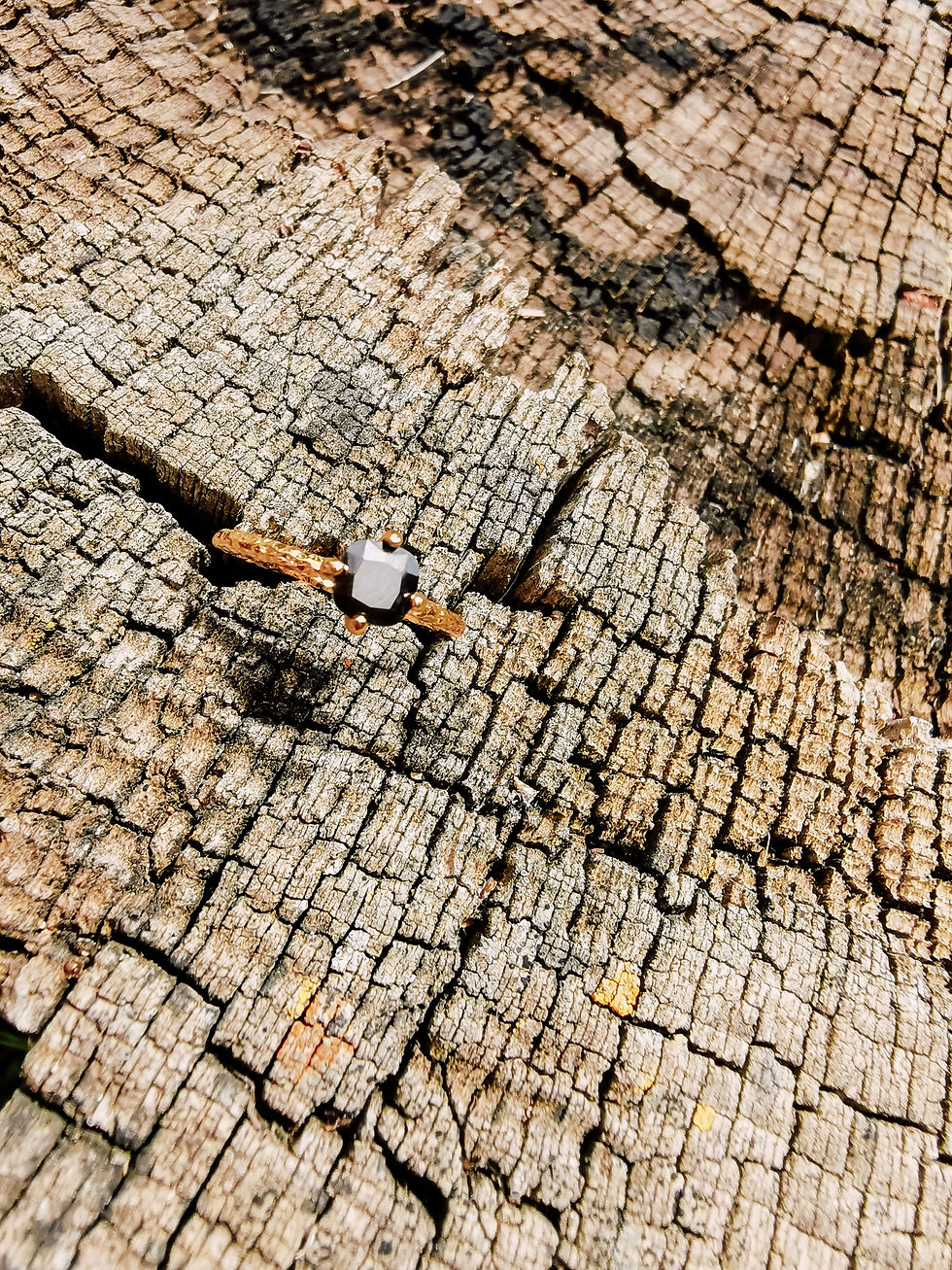 Miniature : Alma