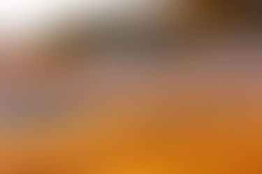 An open letter to Jack Frost (and some snaps of Yellowstone)