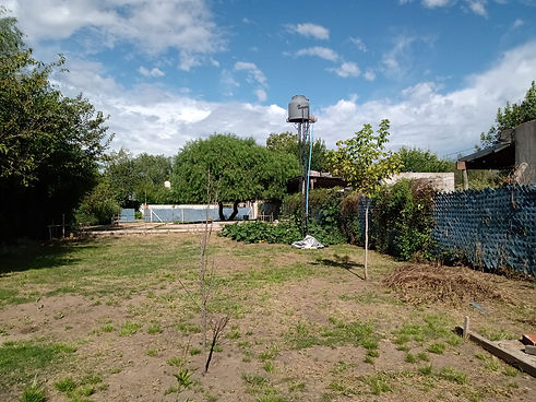 WhatsApp Image 2024-06-03 at 19.08.17.jpeg