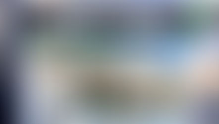 MS Park Manhattan Tous les Jours