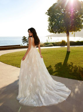 8148 COSMOBELLA (2).jpg