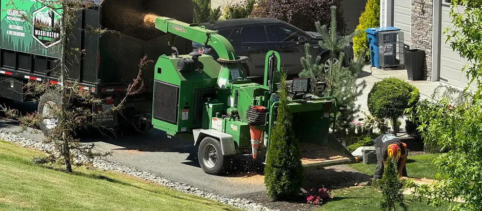 Western Washington Tree Service owner Matthew Pena wrapping up a rope by a tree to end the work day 