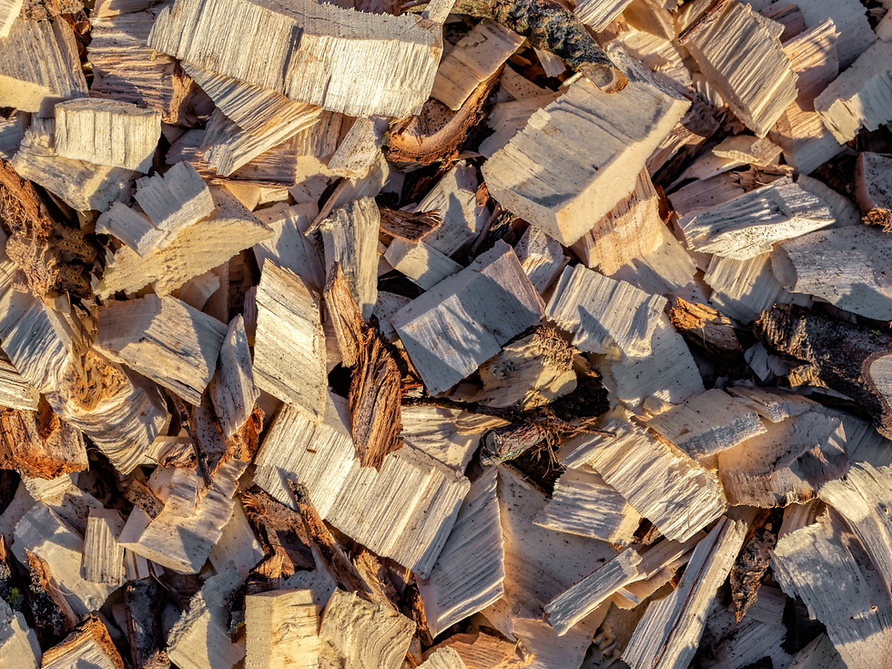 Close-up view of wood chips spread evenly on garden soil