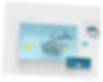 Group 1000008771.jpg