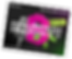 Group 1000008773.png