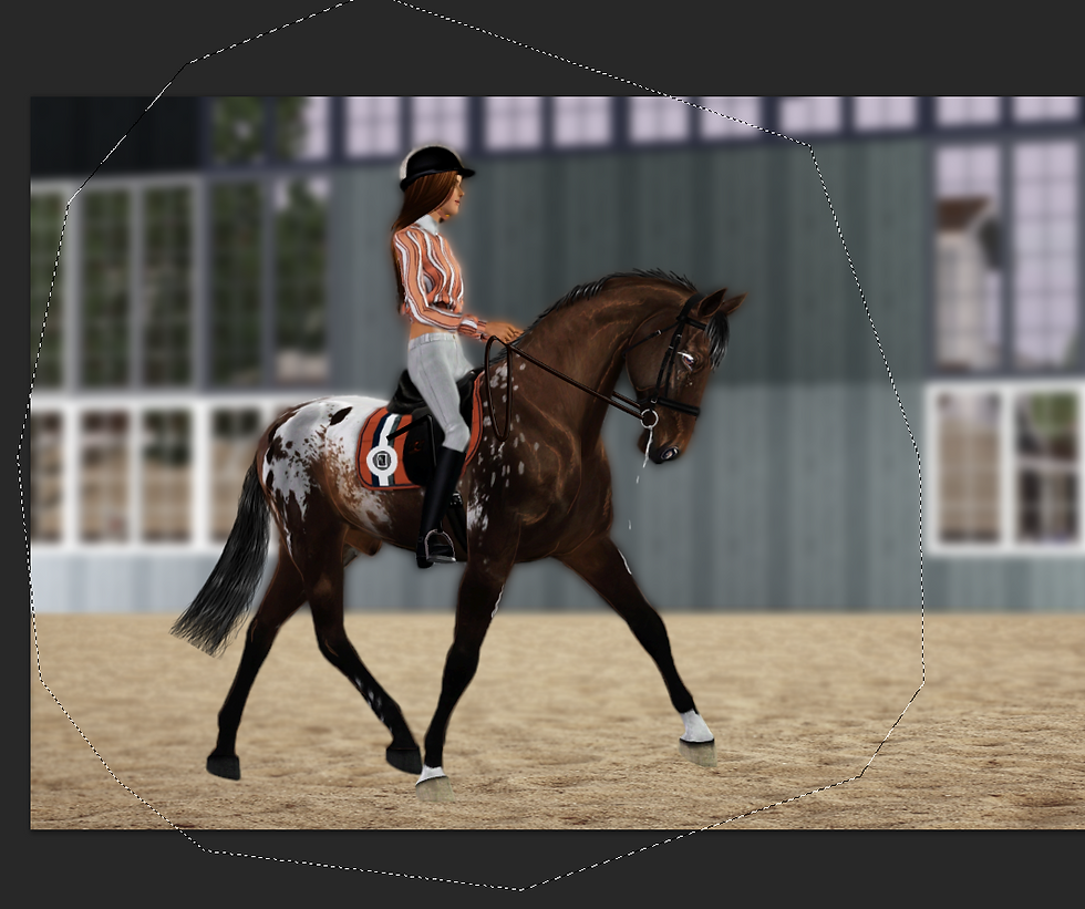 Lasso the Horse