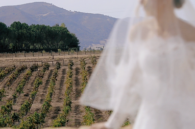 Screenshot 2025-11-18 at 6.07.17 PM.png